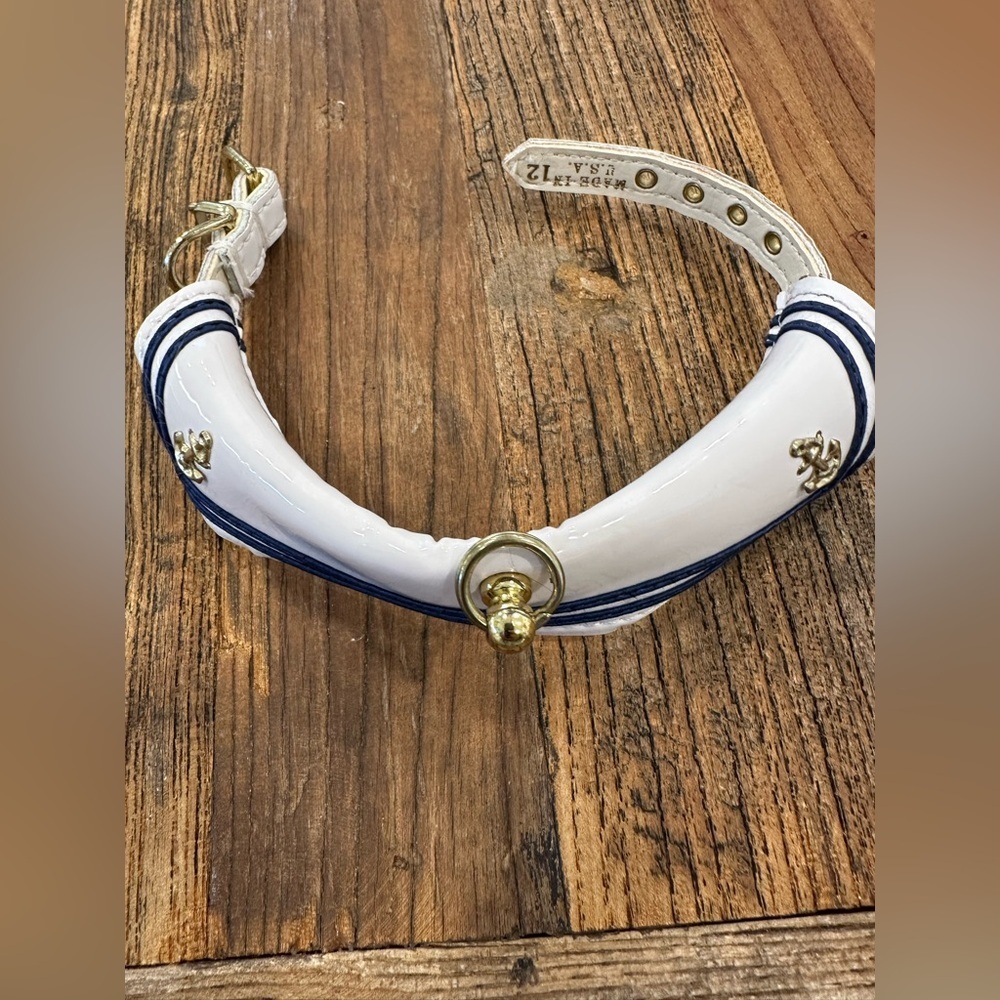 White and Blue Dog Collar with Gold Accents